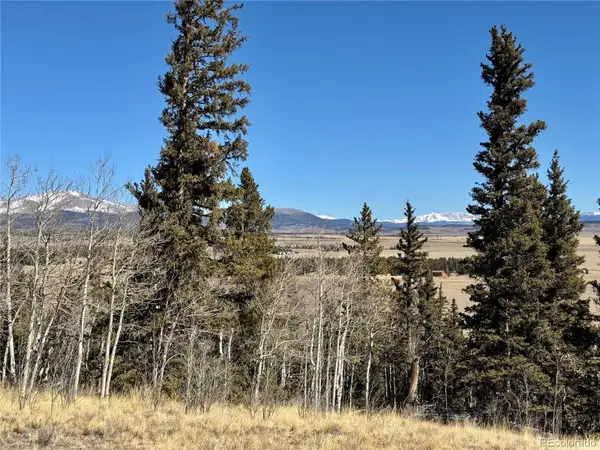1872 High Creek Road, Fairplay, CO 80440
