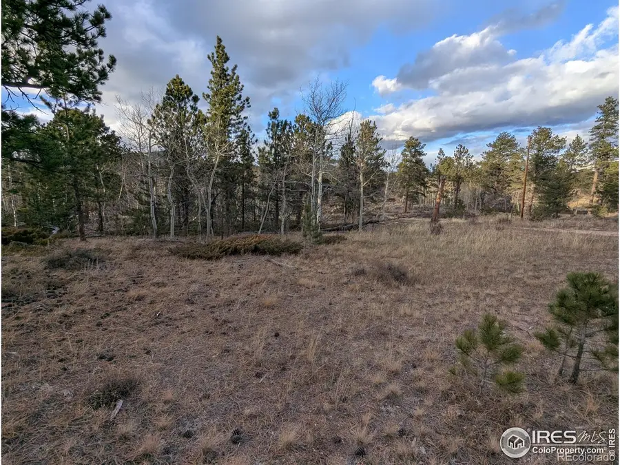 29 Santa Clara Court, Red Feather Lakes, CO 80545 - Image #2