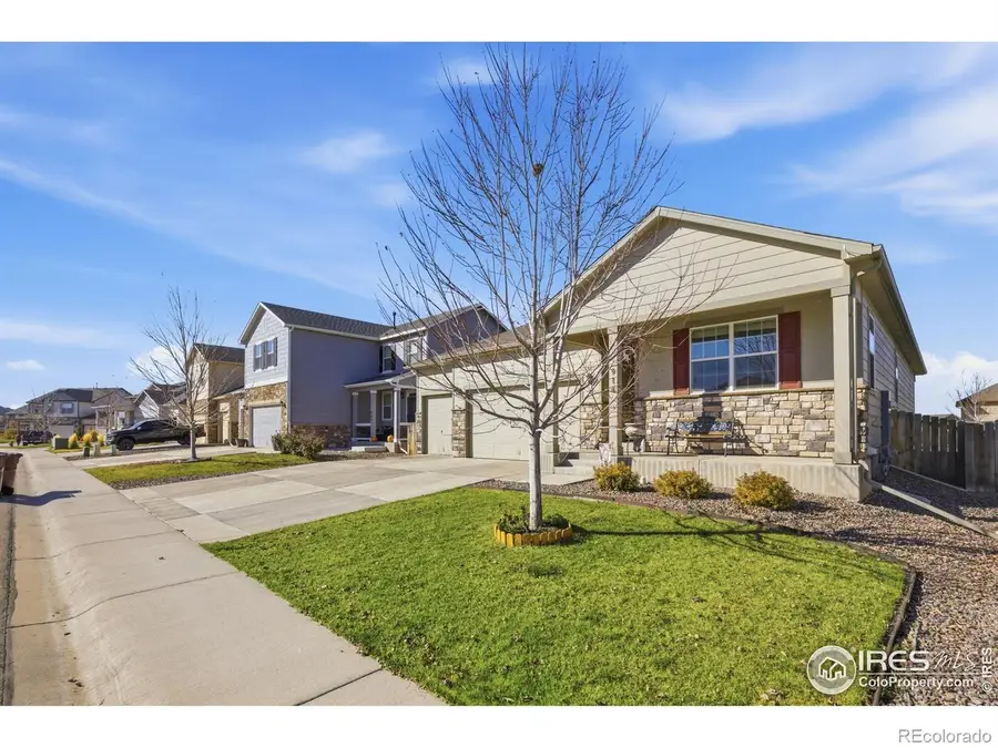 916 Birchdale Court, Windsor, CO 80550 - Image #3
