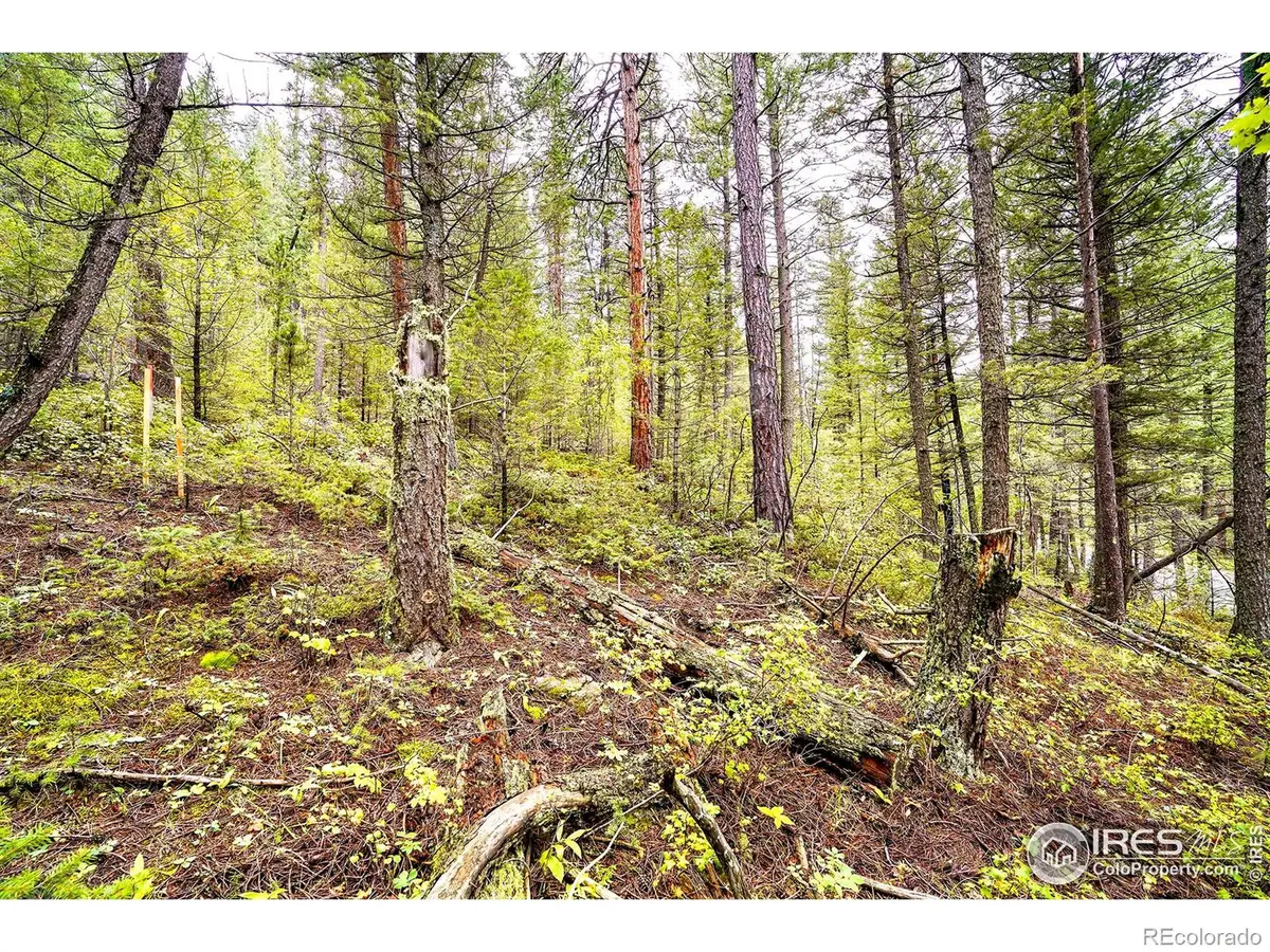 10862 Twin Spruce Road, Golden, CO 80403 - Image #1