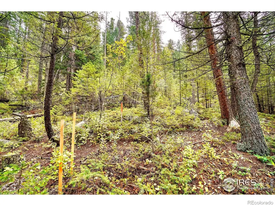 10862 Twin Spruce Road, Golden, CO 80403 - Image #2