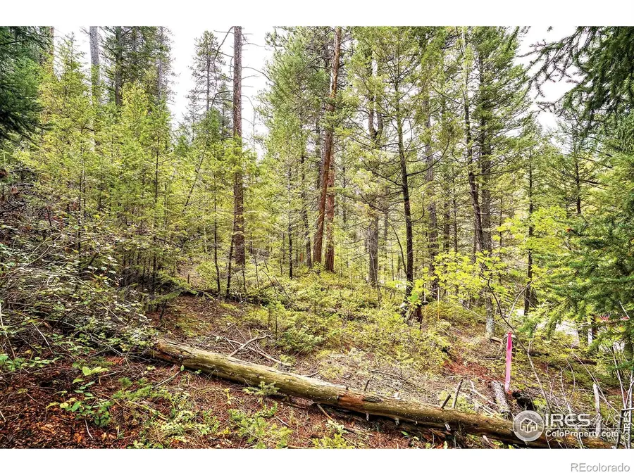 10862 Twin Spruce Road, Golden, CO 80403 - Image #3