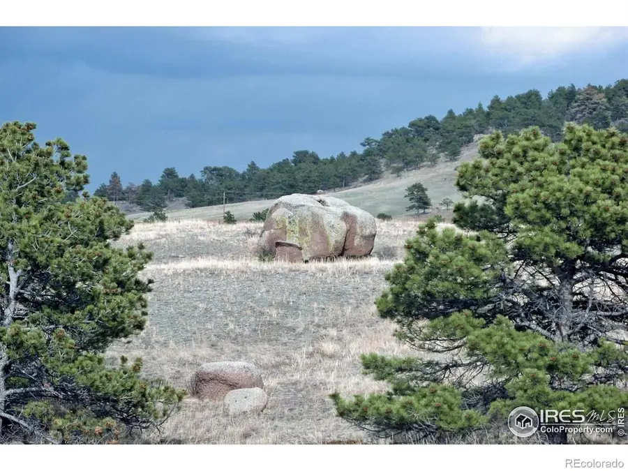 280 Timber Trail, Livermore, CO 80536 - Image #3