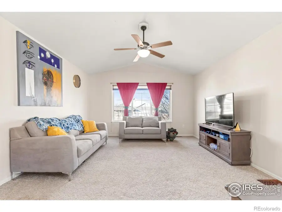 206 Windflower Way, Severance, CO 80550 - Image #3