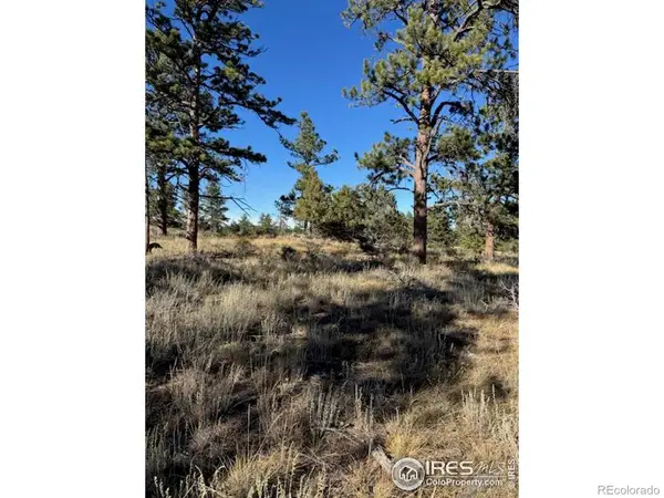 2225 Montcalm Drive, Livermore, CO 80536