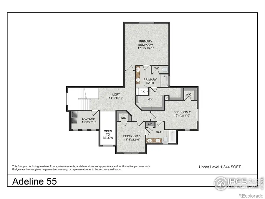 1793 Trilling Court, Windsor, CO 80550 - Image #3