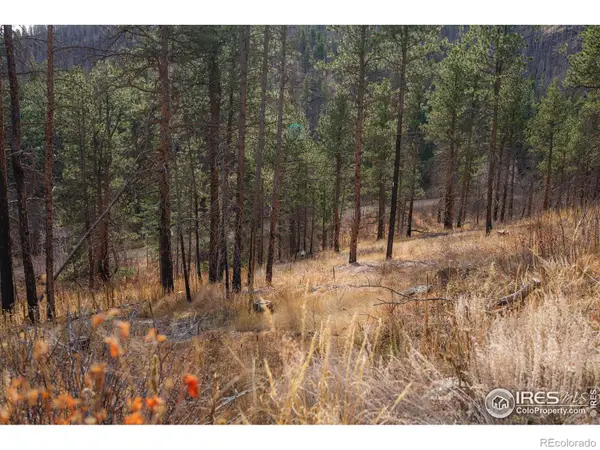 0 Cougar Cir Ct, Bellvue, CO 80512