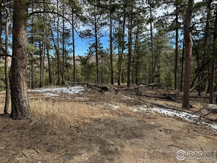 0 Davis Ranch Road, Bellvue, CO 80512 - Image #3