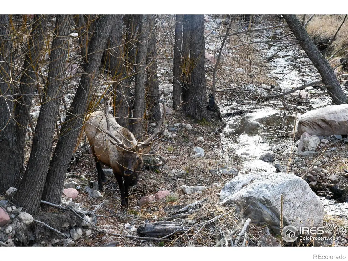 416 Black Creek Drive, Glen Haven, CO 80532 - Image #1