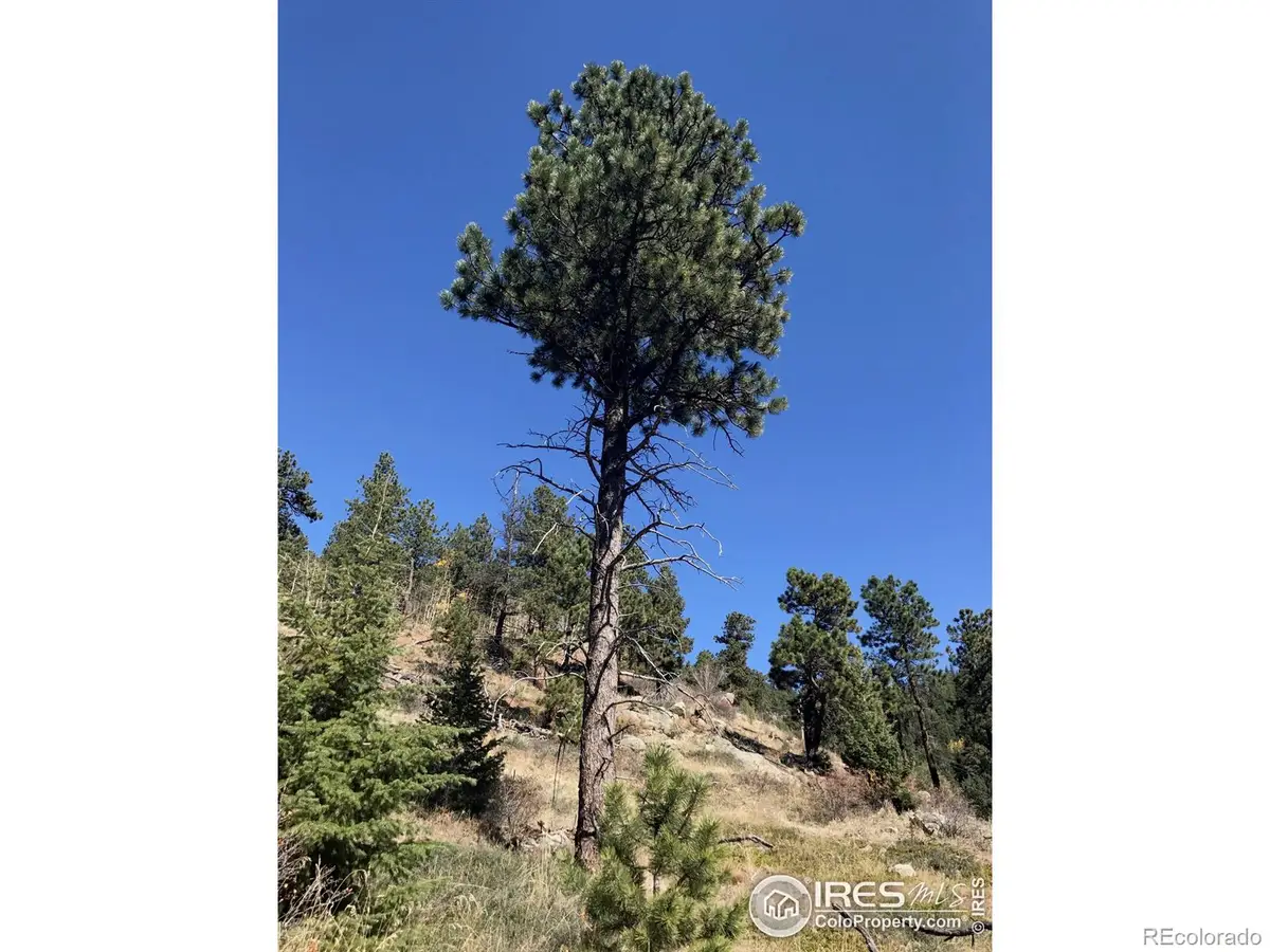 0 Good Friday Road, Boulder, CO 80302 - Image #1