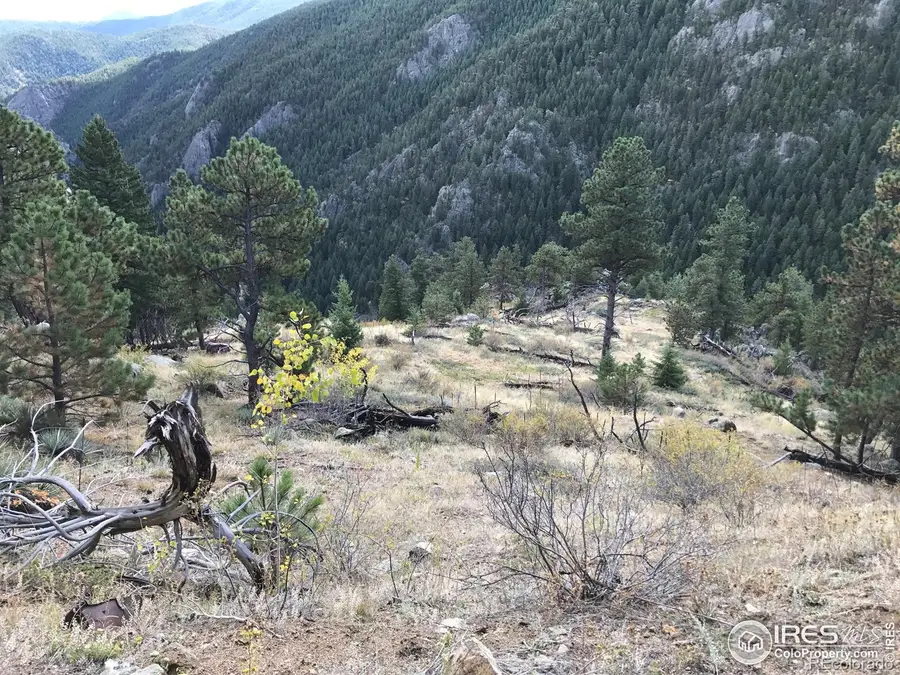 0 Good Friday Road, Boulder, CO 80302 - Image #2