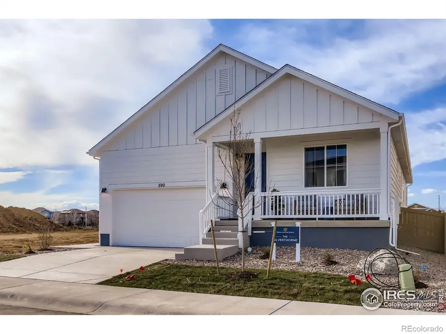 590 Noola Street, Windsor, CO 80550 - Image #3