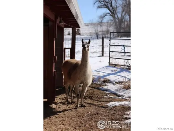 1034 Spring Drive, Boulder, CO 80303