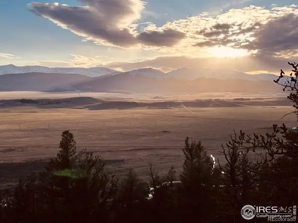 2091 Middle Fork Vista, Fairplay, CO 80440