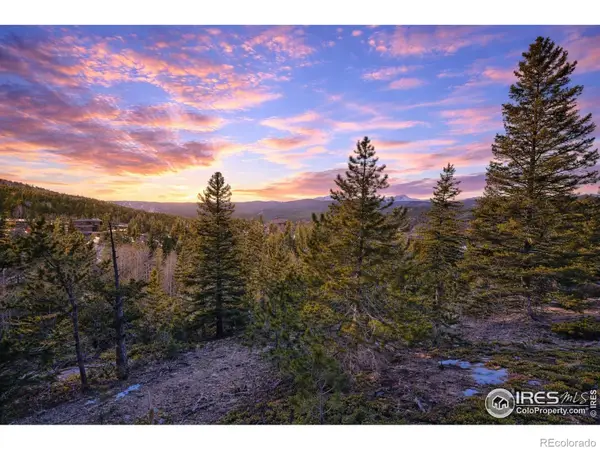 71 Pinecliff Trail, Nederland, CO 80466