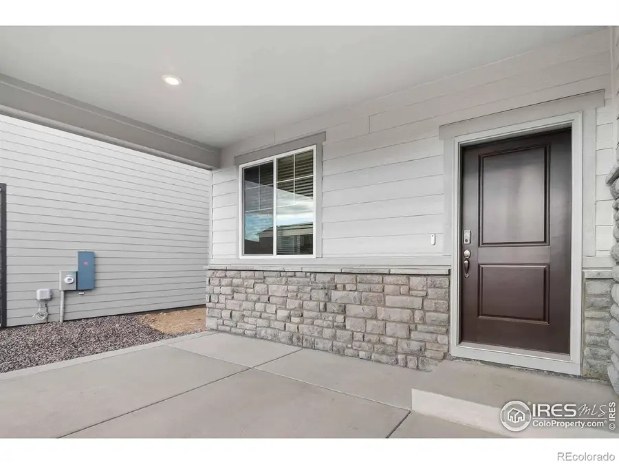 1629 Yampa River Drive, Windsor, CO 80550 - Image #3