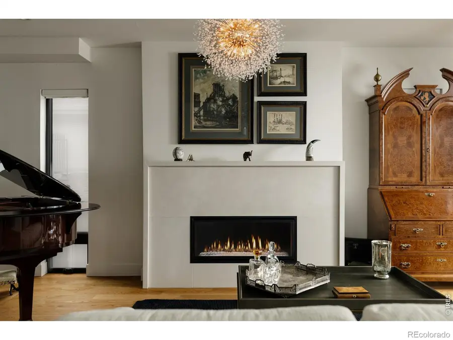 594 Saint Paul Street, Denver, CO 80206 - #3