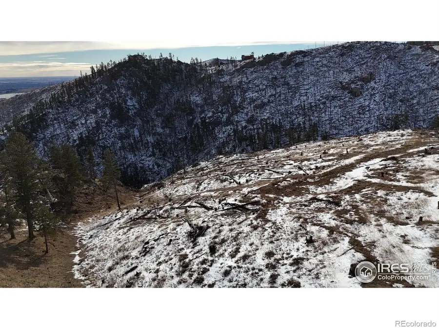 813 Hernia Hill Trail, Bellvue, CO 80512 - #3