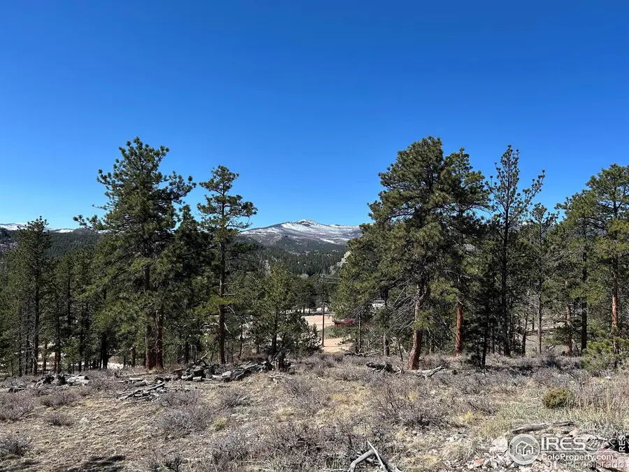 295 Piney Knolls Drive, Red Feather Lakes, CO 80545 - Image #2