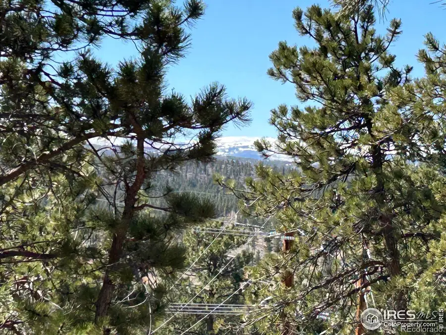 295 Piney Knolls Drive, Red Feather Lakes, CO 80545 - Image #3