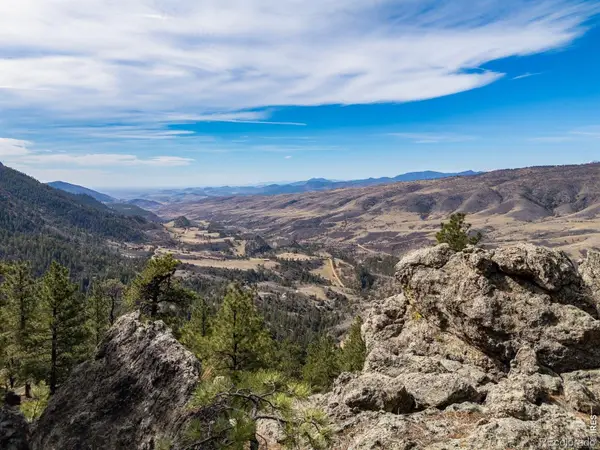 9316 Tawny Lynx Road, Loveland, CO 80538