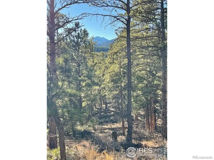 0 Pine Drive, Lyons, CO 80540 - #2