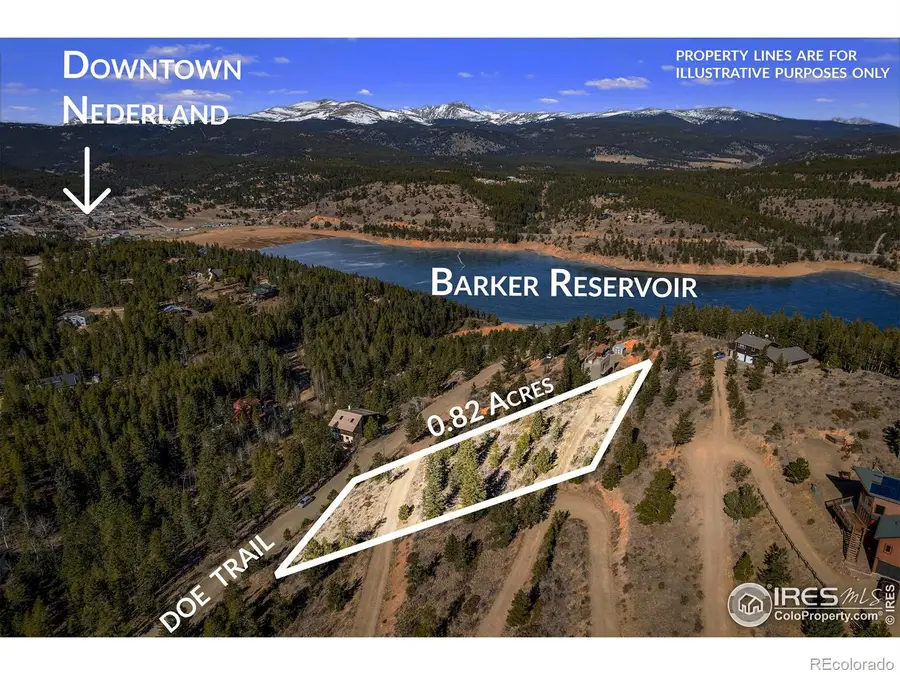 58 Doe Trail, Nederland, CO 80466 - #2