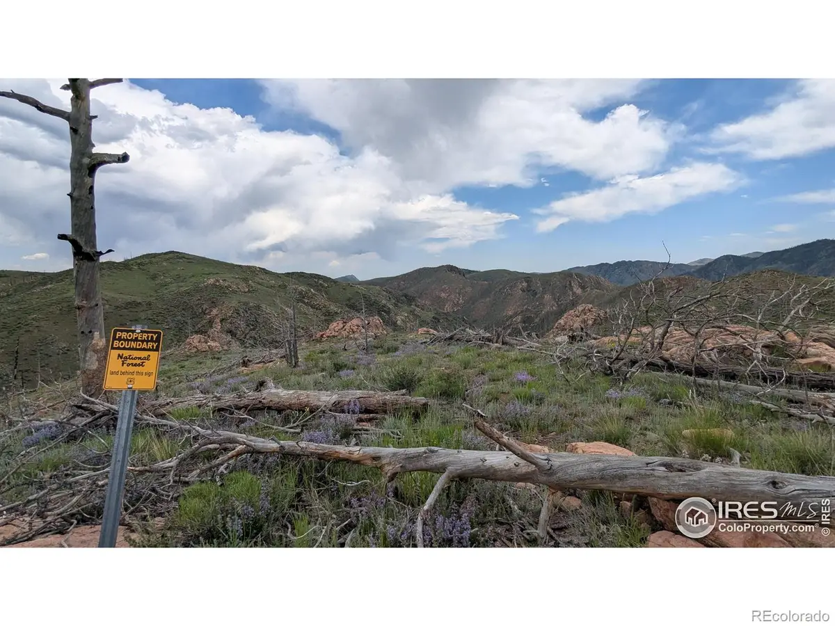 1360 Meadow Mountain Drive, Livermore, CO 80536 - #1