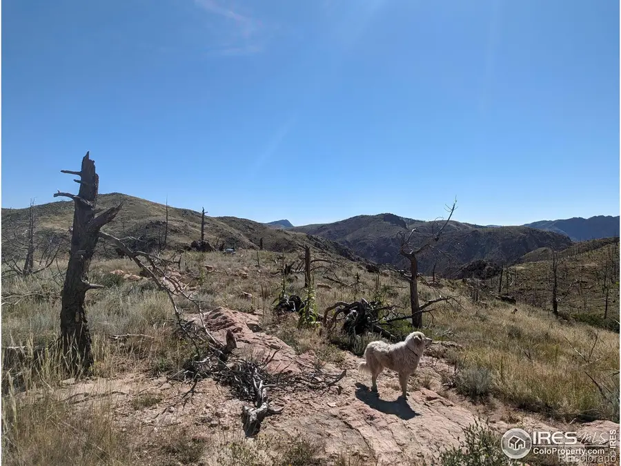 1360 Meadow Mountain Drive, Livermore, CO 80536 - #3