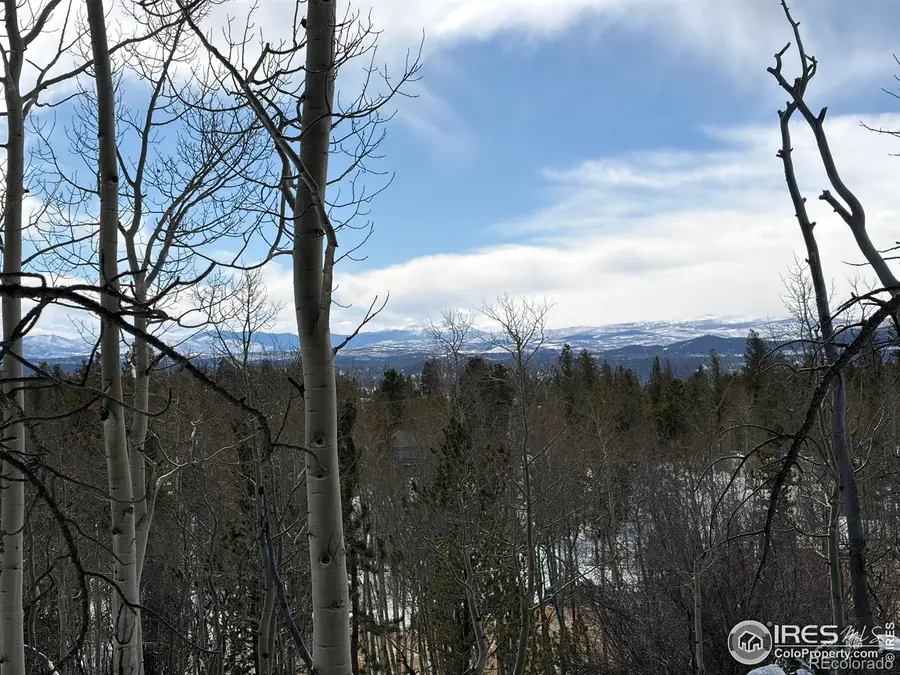 115 Wenro Court, Red Feather Lakes, CO 80545 - #2