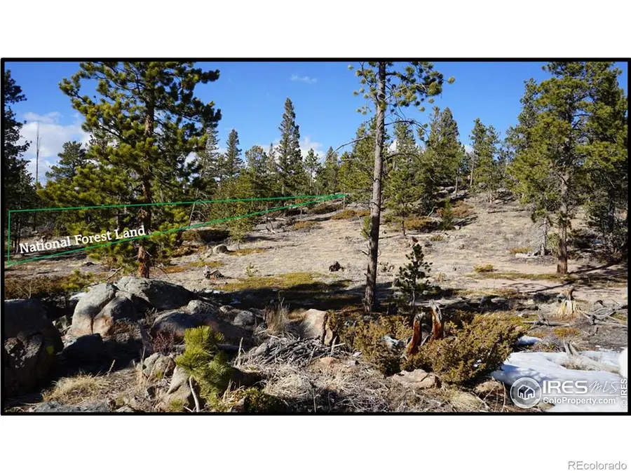 129 Kiliwa Court, Red Feather Lakes, CO 80545 - #3