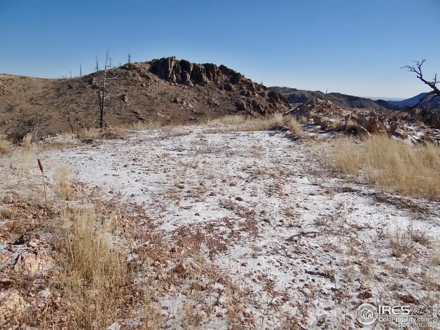 83 Bull Rock Court, Livermore, CO 80536 - #3