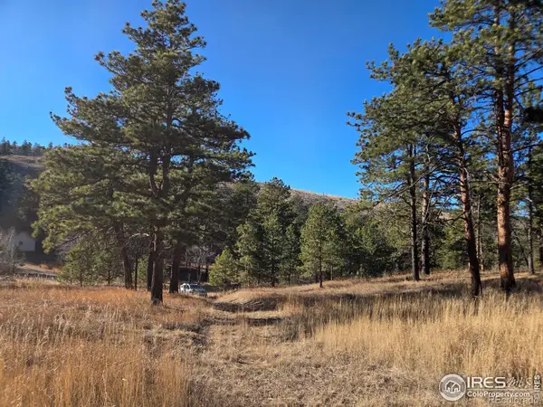 620 Davis Ranch Road, Bellvue, CO 80512