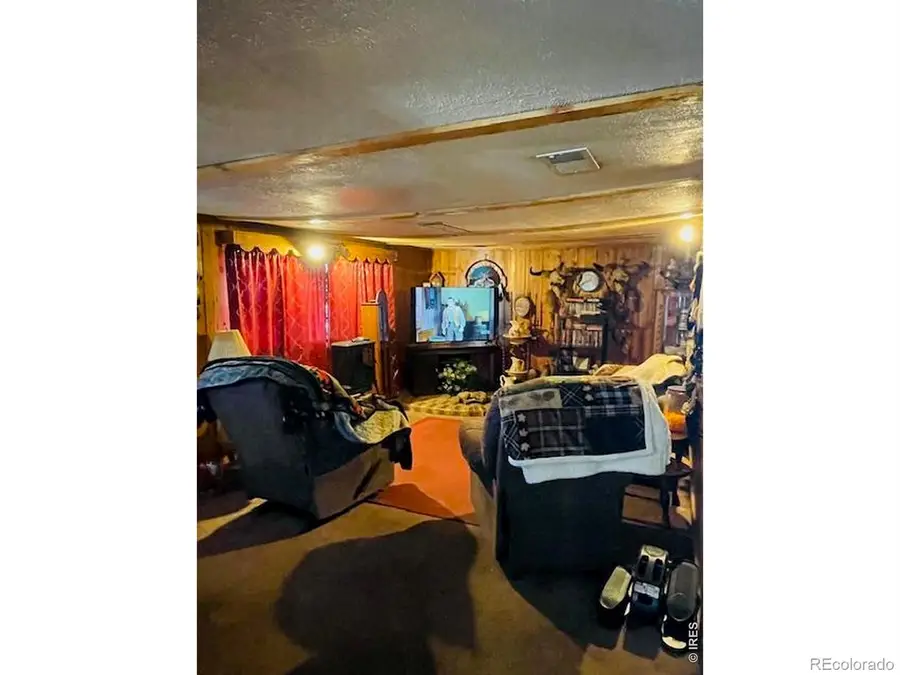 248 Lafever Street, Walden, CO 80480 - #3