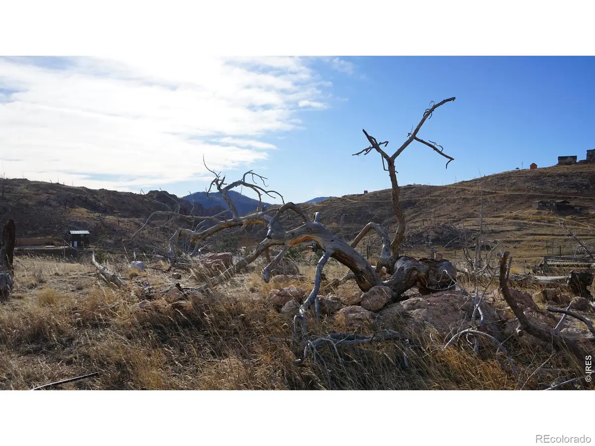 654 Horse Mountain Drive, Livermore, CO 80536 - #1