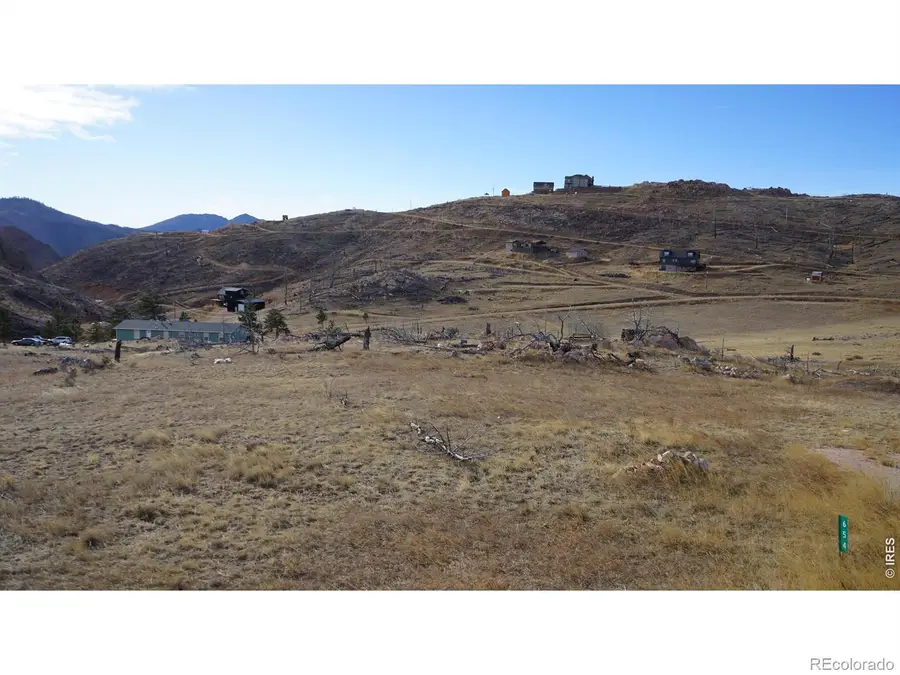 654 Horse Mountain Drive, Livermore, CO 80536 - #3