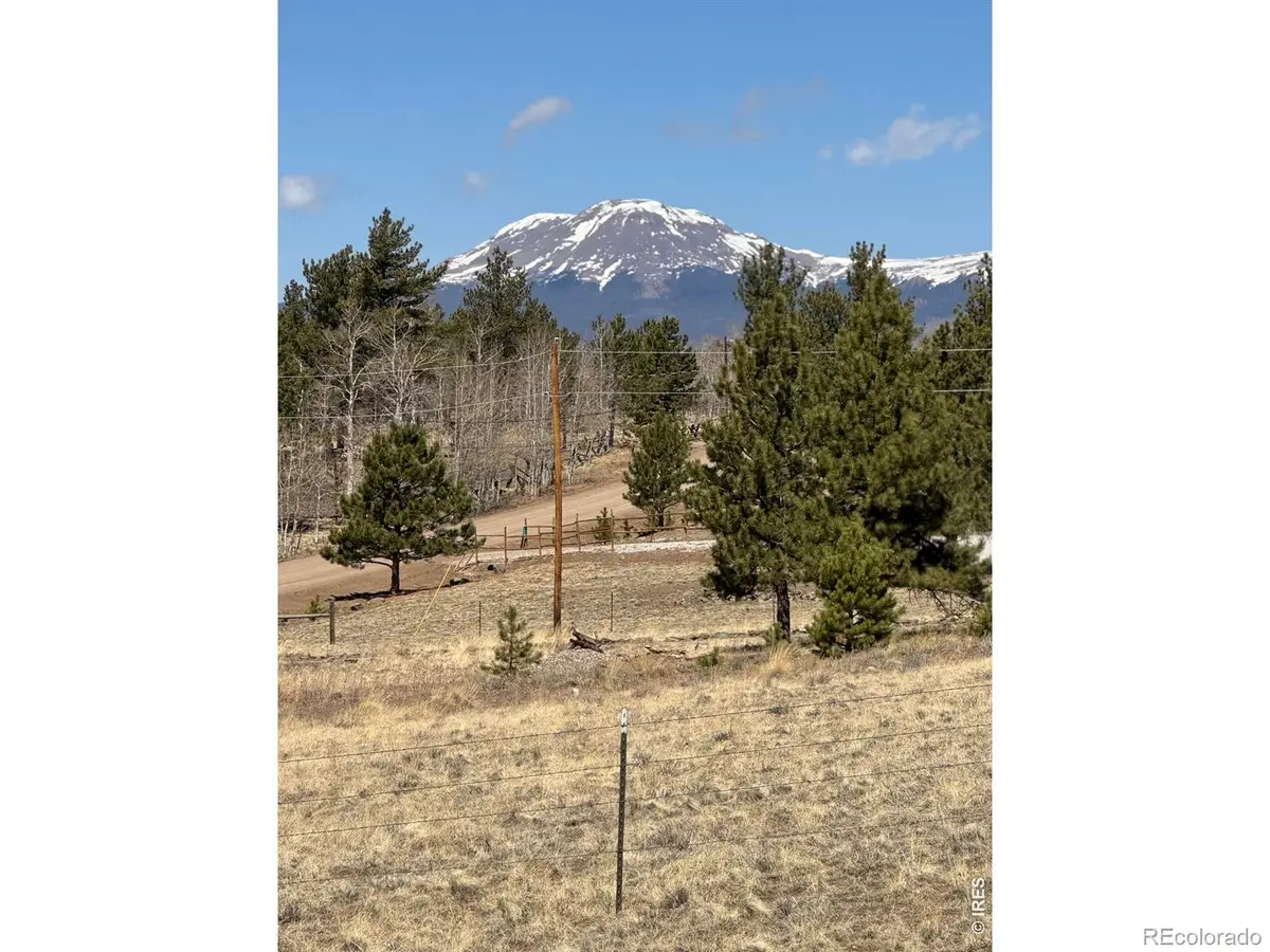 2841 Singletree Road, Hartsel, CO 80449 - #1