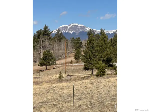 2841 Singletree Road, Hartsel, CO 80449