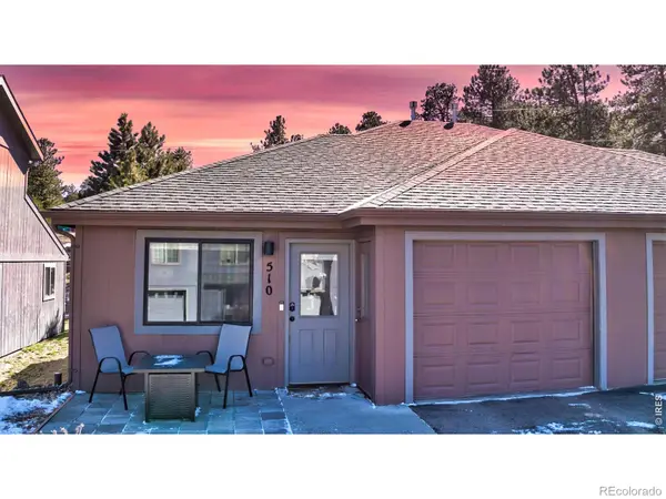 510 Saint Vrain Lane #D, Estes Park, CO 80517