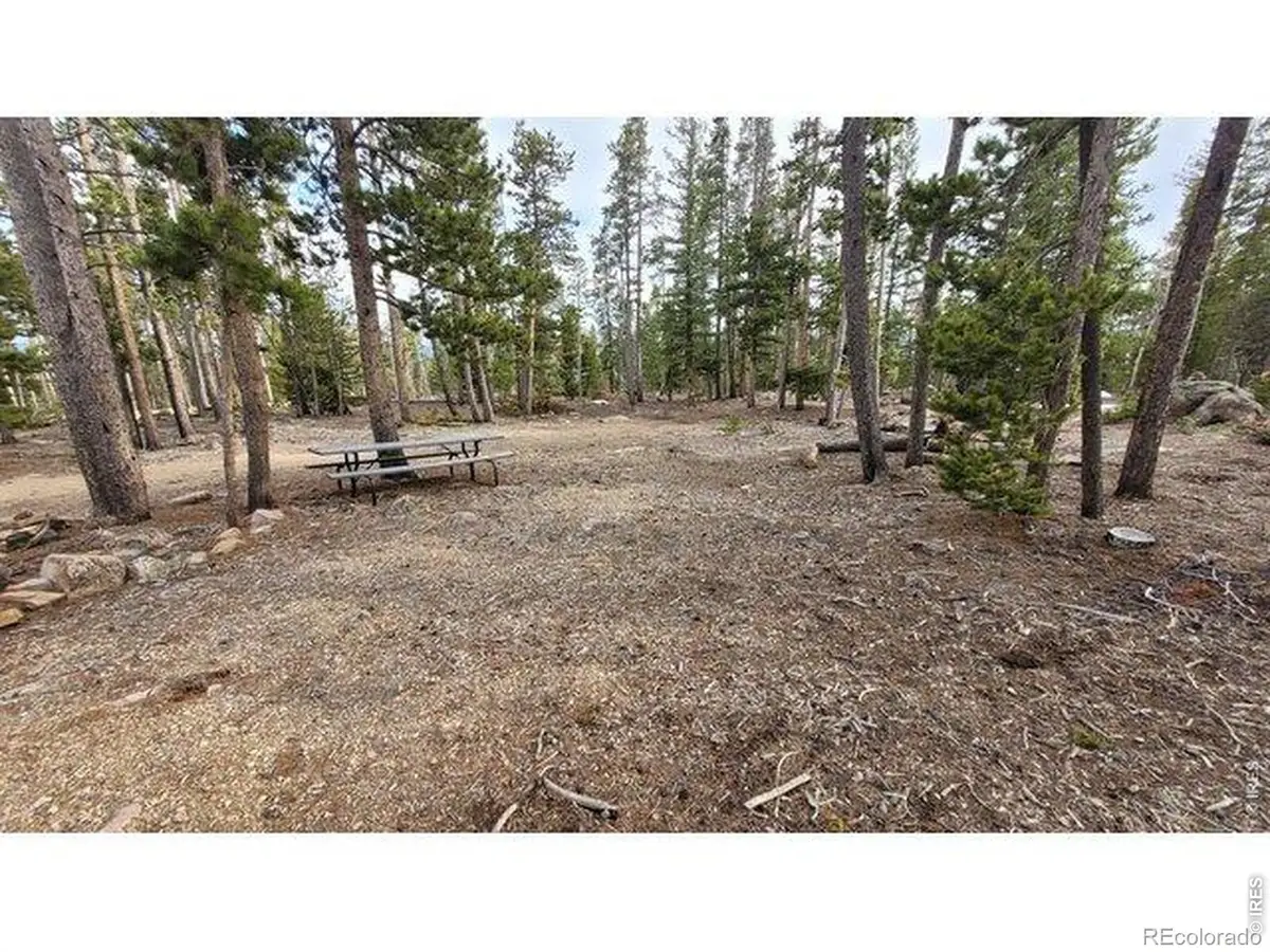 1421 Jicarilla Trail, Red Feather Lakes, CO 80545 - #1