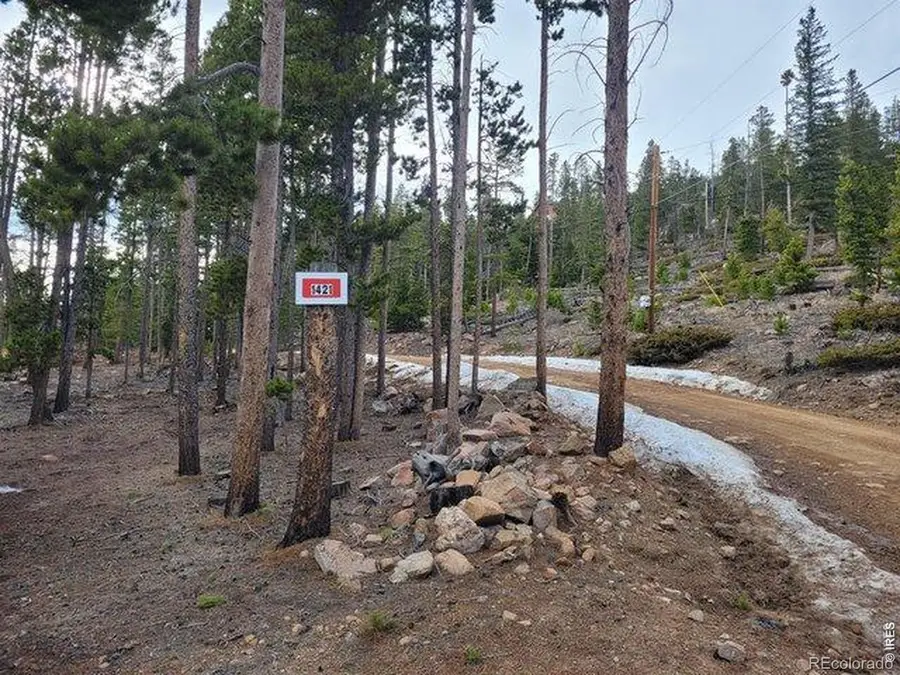 1421 Jicarilla Trail, Red Feather Lakes, CO 80545 - #2