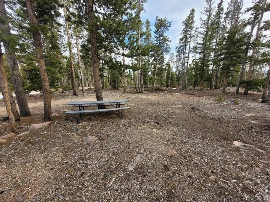 1421 Jicarilla Trail, Red Feather Lakes, CO 80545 - #3