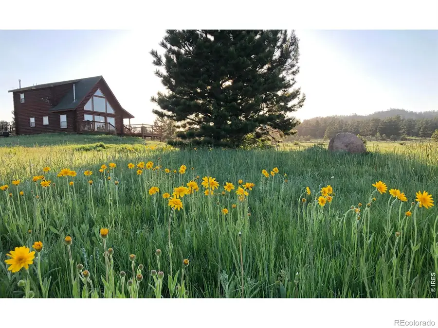 120 N Cucharas Mountain Court, Livermore, CO 80536 - #3