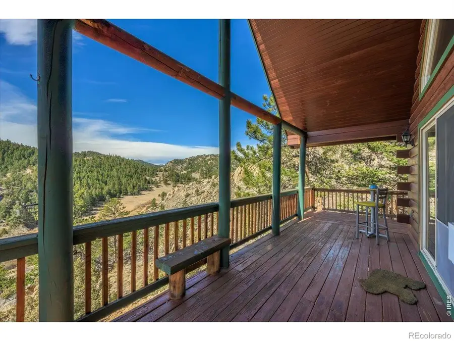 256 W Quandary Court, Livermore, CO 80536 - #3