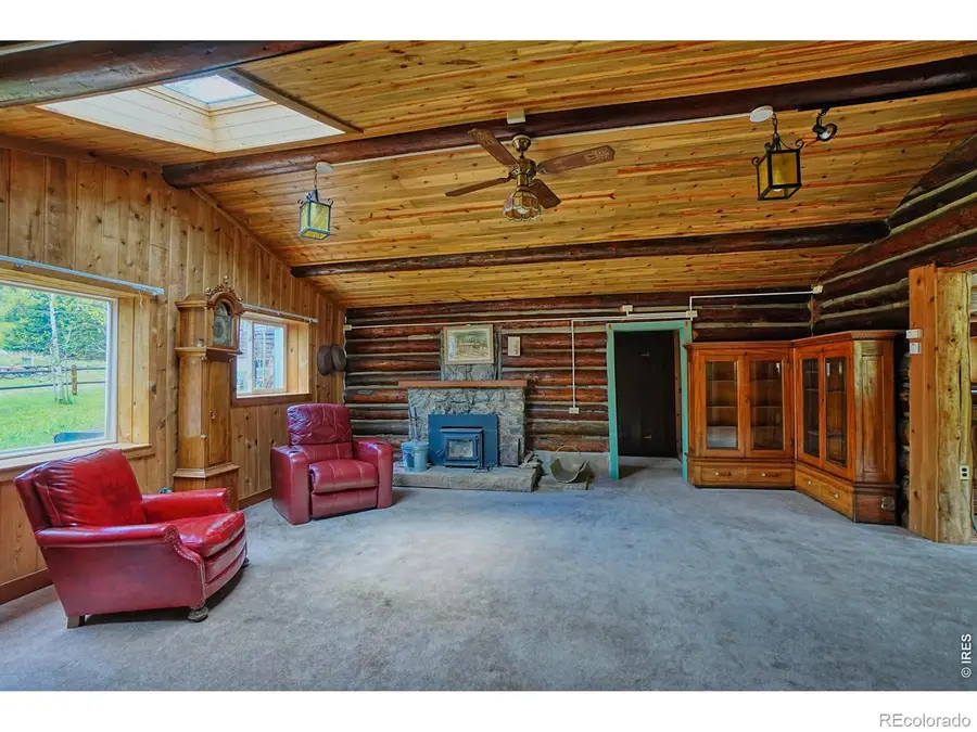 545 Eldorado Avenue, Nederland, CO 80466 - #2