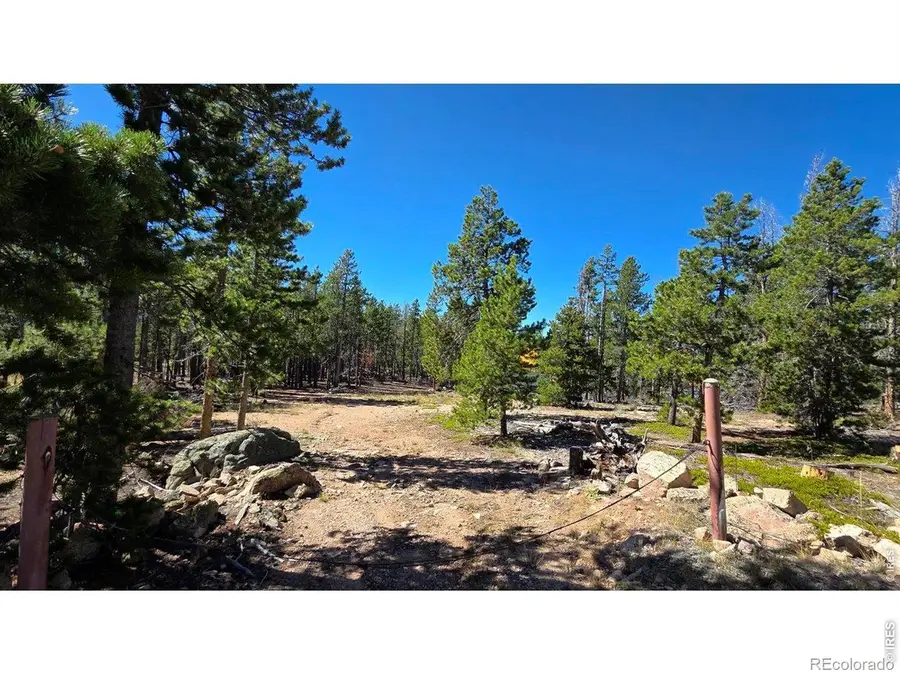 1367 Osage Trail, Red Feather Lakes, CO 80545 - #2