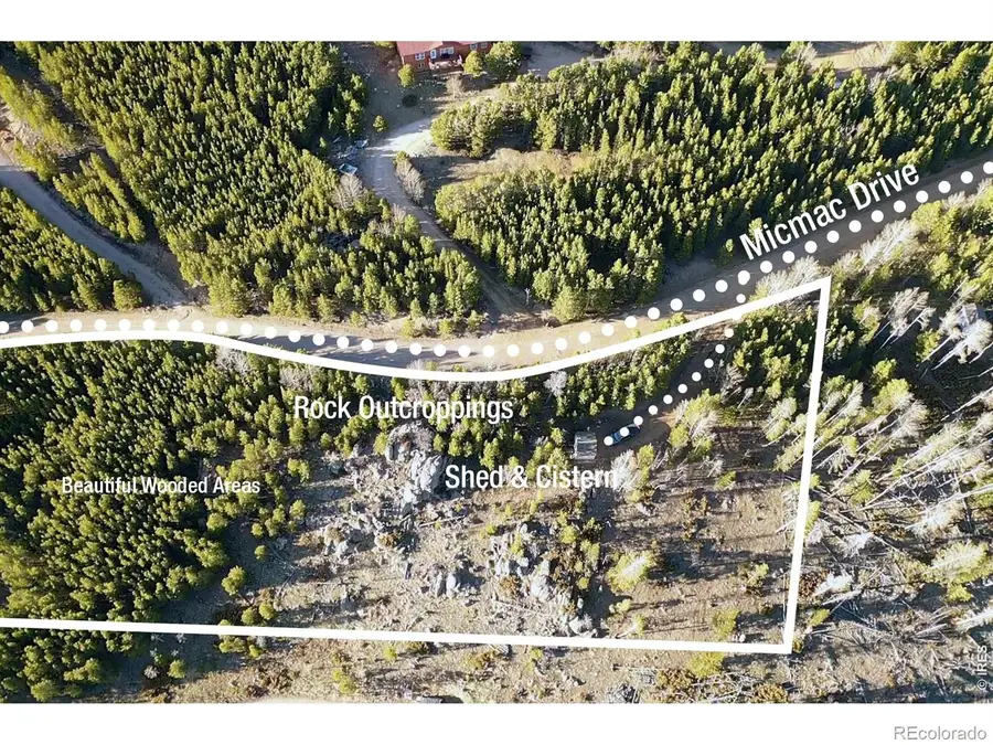 227 Micmac Drive, Red Feather Lakes, CO 80545 - #2