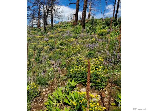 957 Stringtown Gulch Road, Bellvue, CO 80512