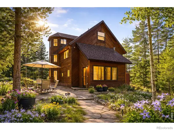 1856 Ridge Road, Nederland, CO 80466