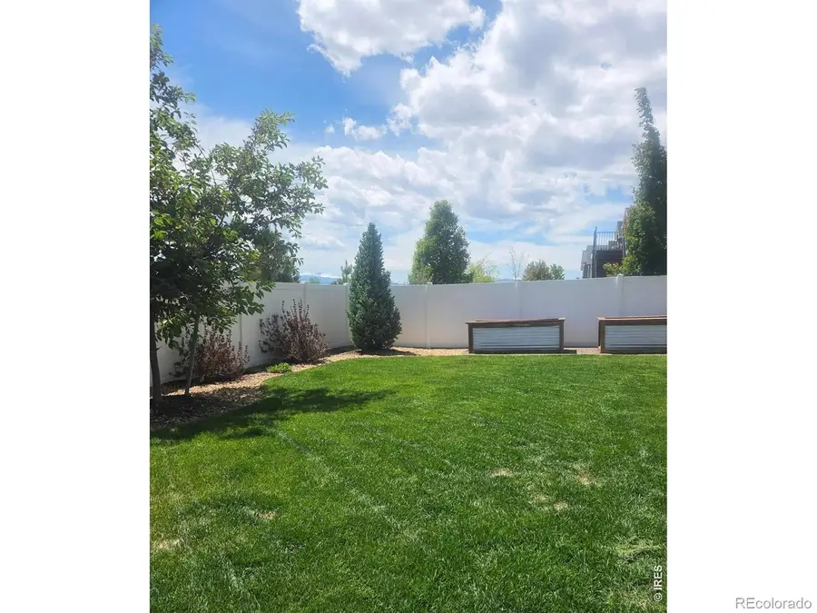 1853 Holloway Drive, Windsor, CO 80550 - #3